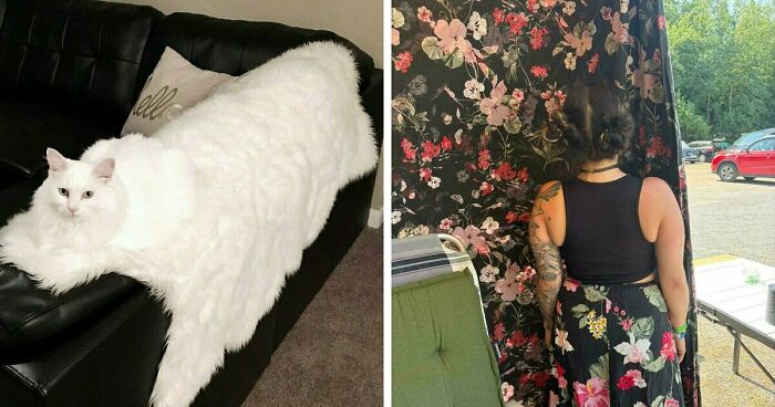 68 Incredibly Satisfying Paint Matches That Are So Perfect They Look Like Photoshop, But Aren’t