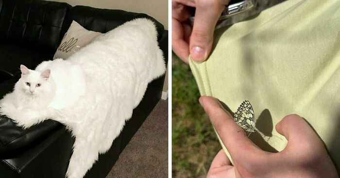 68 Incredibly Satisfying Paint Matches That Are So Perfect They Look Like Photoshop, But Aren’t
