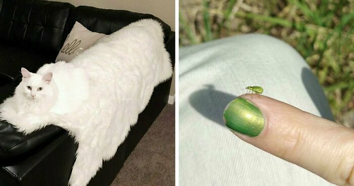 68 Incredibly Satisfying Paint Matches That Are So Perfect They Look Like Photoshop, But Aren’t