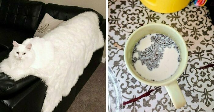 68 Incredibly Satisfying Paint Matches That Are So Perfect They Look Like Photoshop, But Aren’t