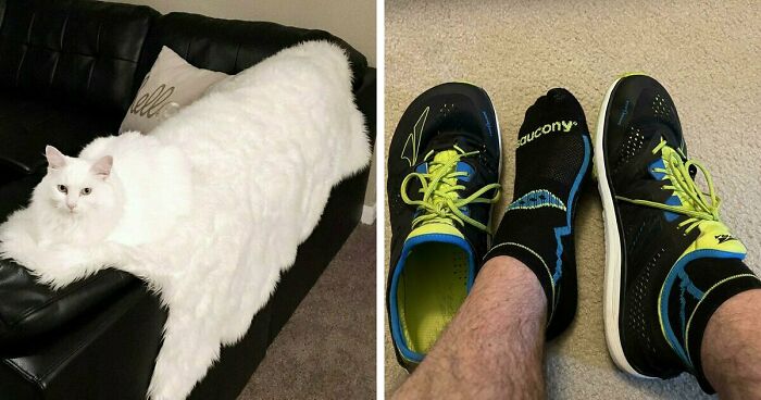 68 Incredibly Satisfying Paint Matches That Are So Perfect They Look Like Photoshop, But Aren’t