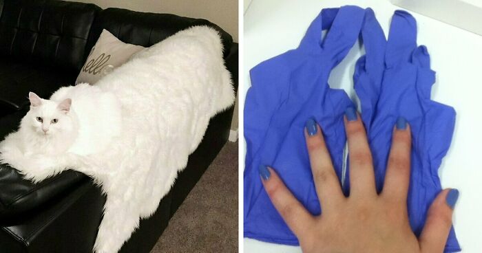 68 Incredibly Satisfying Paint Matches That Are So Perfect They Look Like Photoshop, But Aren’t