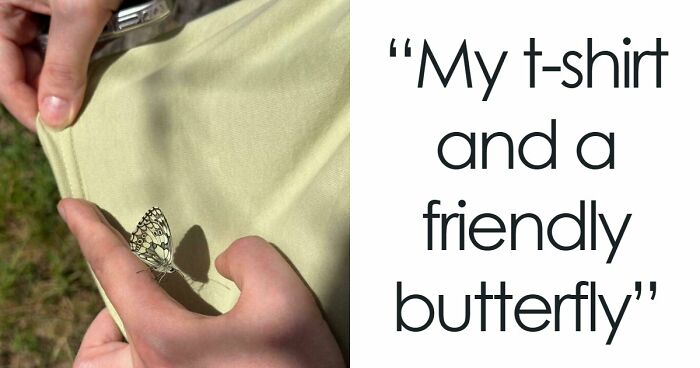 68 Incredibly Satisfying Paint Matches That Are So Perfect They Look Like Photoshop, But Aren’t