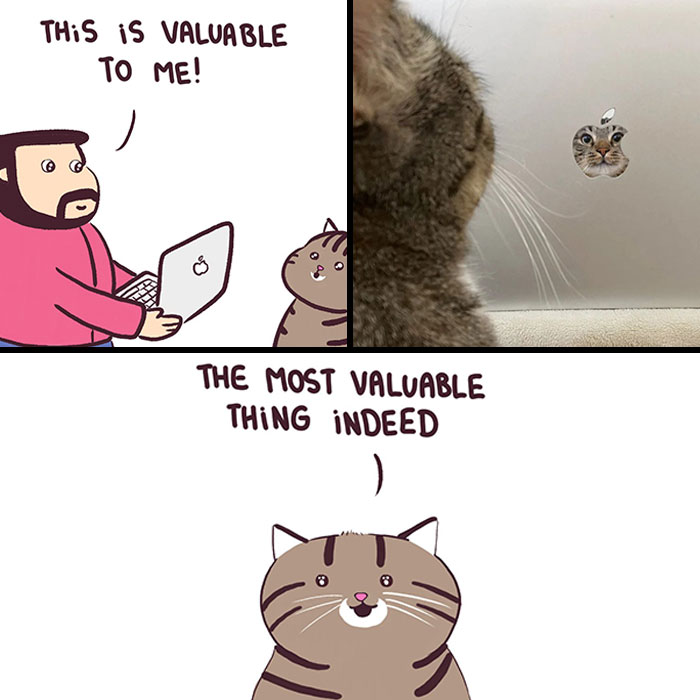This Artist Turns Viral Animal Photos Into Hilarious Comics, And Here Are The 70 Best Ones