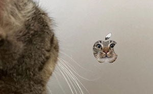 This Artist Turns Viral Animal Photos Into Hilarious Comics, And Here Are The 70 Best Ones