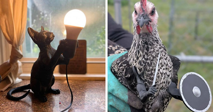 “I’m Pretty Proud Of It”: 82 Creative People Who Used 3D Printers To Make Things They Couldn’t Find Anywhere Else