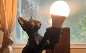“I’ve Been Waiting For This Moment”: 82 Cool And Useful Things People Created With A 3D Printer