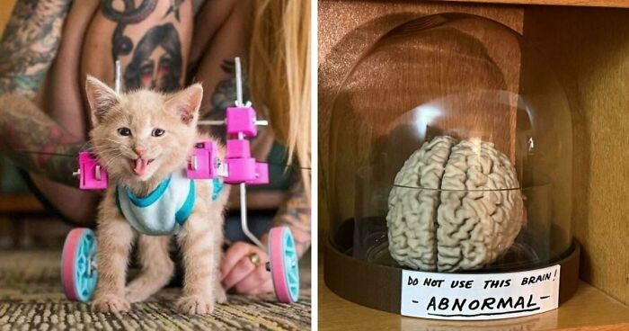 93 3D Printing Fans Show Off Their Most Amazing Creations