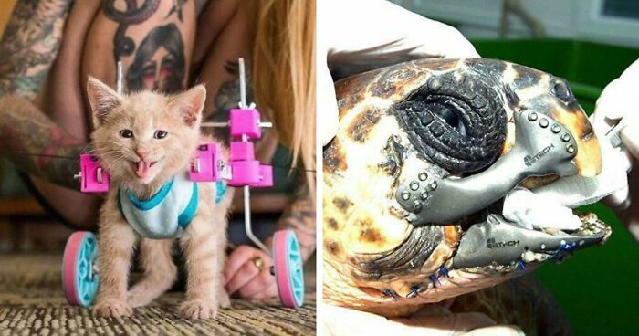 93 3D Printing Fans Show Off Their Most Amazing Creations