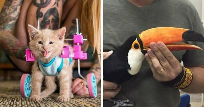 93 3D Printing Fans Show Off Their Most Amazing Creations