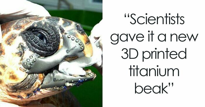 93 3D Printing Fans Show Off Their Most Amazing Creations