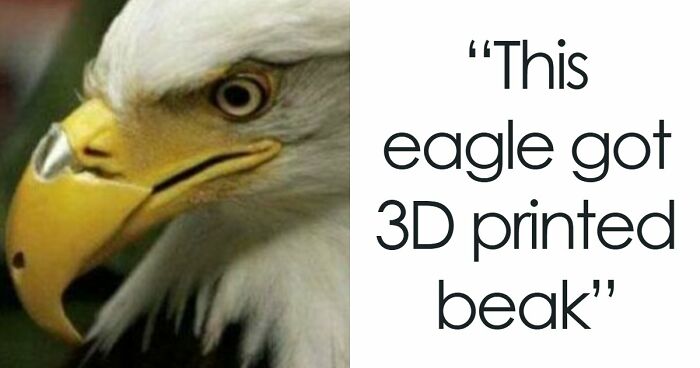 93 3D Printing Fans Show Off Their Most Amazing Creations