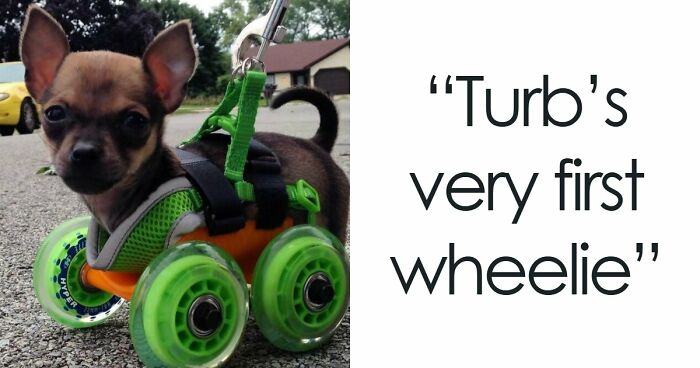 93 3D Printing Fans Show Off Their Most Amazing Creations