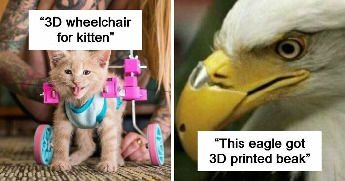 93 3D Printing Fans Show Off Their Most Amazing Creations