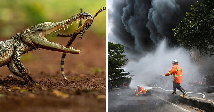 34 Stunning Shots From HIPA’s “Photo Of The Day” That Capture The Beauty Of Our World
