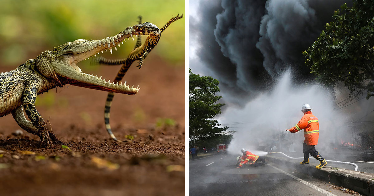 34 Stunning Images From HIPA’s “Photo Of The Day” That Capture Powerful Stories And Beautiful Moments 34 Stunning Images From HIPA’s “Photo Of The Day” That Capture Powerful Stories And Beautiful Moments