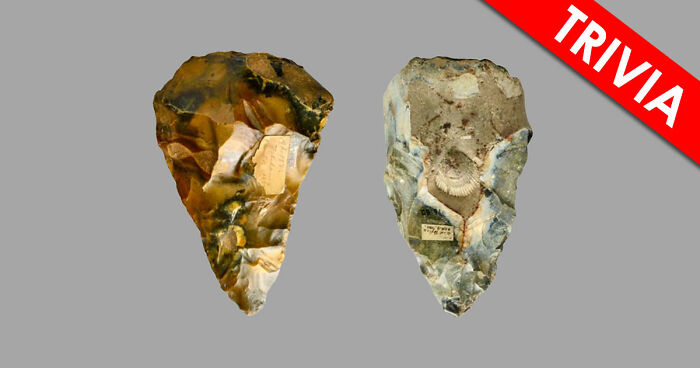 “How Well Do You Know Ancient History?”: Take The Challenge And Identify 18 Historic Tools