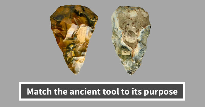 “How Well Do You Know Ancient History?”: Take The Challenge And Identify 18 Historic Tools