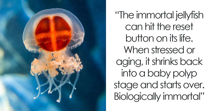 44 Fun And Interesting Facts That Might Delight Animal Lovers