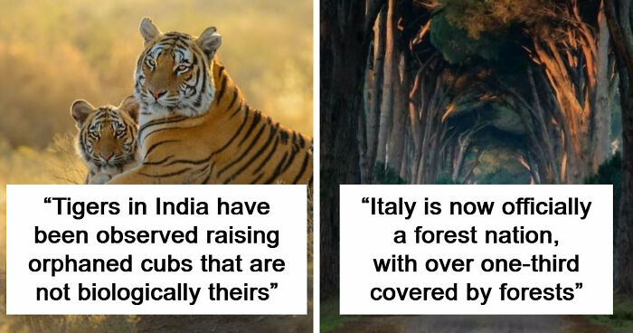 44 Fun And Interesting Facts That Might Delight Animal Lovers
