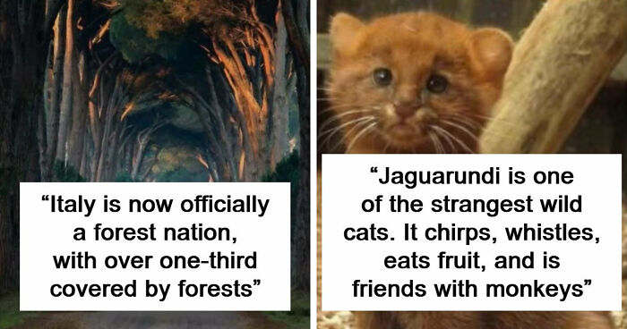 44 Fun And Interesting Facts That Might Delight Animal Lovers