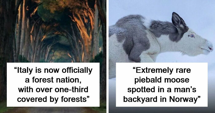 44 Fun And Interesting Facts That Might Delight Animal Lovers