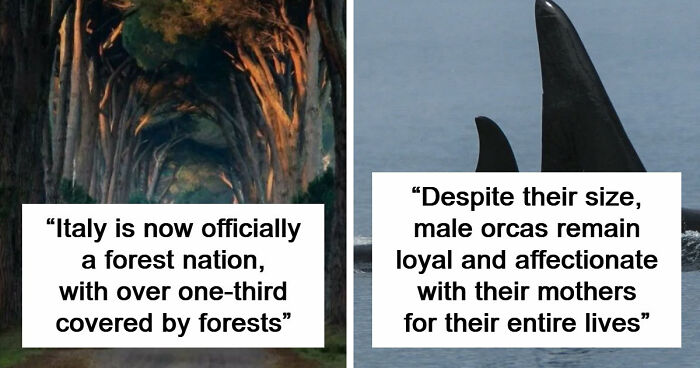 44 Fun And Interesting Facts That Might Delight Animal Lovers