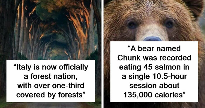 44 Fun And Interesting Facts That Might Delight Animal Lovers