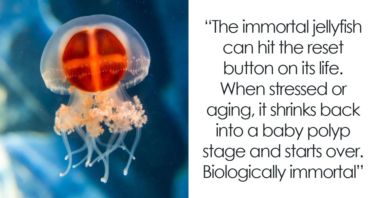 44 Fun And Interesting Facts That Might Delight Animal Lovers