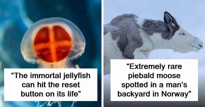44 Fun And Interesting Facts That Might Delight Animal Lovers
