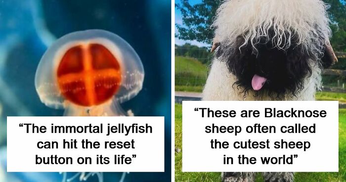 44 Fun And Interesting Facts That Might Delight Animal Lovers