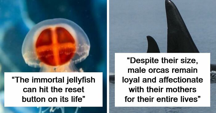 44 Fun And Interesting Facts That Might Delight Animal Lovers