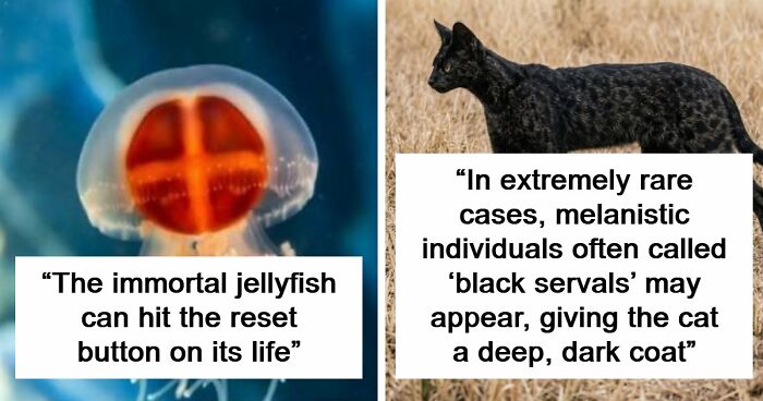 44 Fun And Interesting Facts That Might Delight Animal Lovers