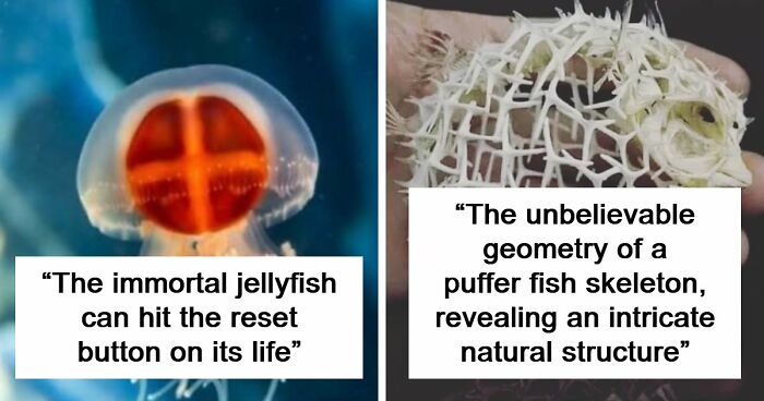 44 Fun And Interesting Facts That Might Delight Animal Lovers