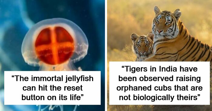 44 Fun And Interesting Facts That Might Delight Animal Lovers