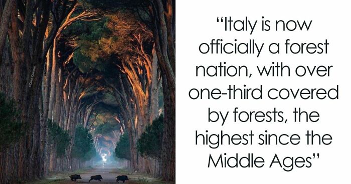 44 Fun And Interesting Facts That Might Delight Animal Lovers