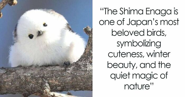 44 Fun And Interesting Facts That Might Delight Animal Lovers