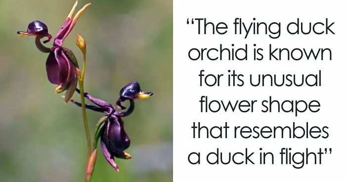 44 Fun And Interesting Facts That Might Delight Animal Lovers