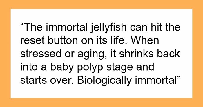 44 Fun And Interesting Facts That Might Delight Animal Lovers