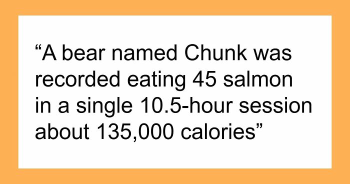 44 Fun And Interesting Facts That Might Delight Animal Lovers