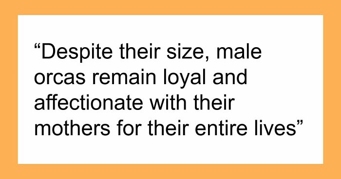 44 Fun And Interesting Facts That Might Delight Animal Lovers