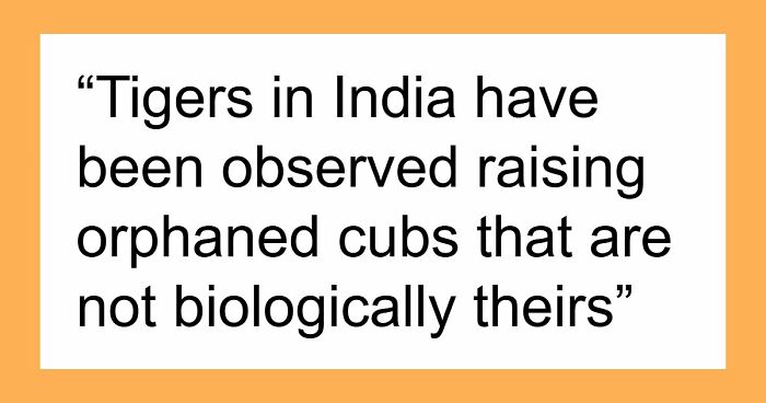 44 Fun And Interesting Facts That Might Delight Animal Lovers