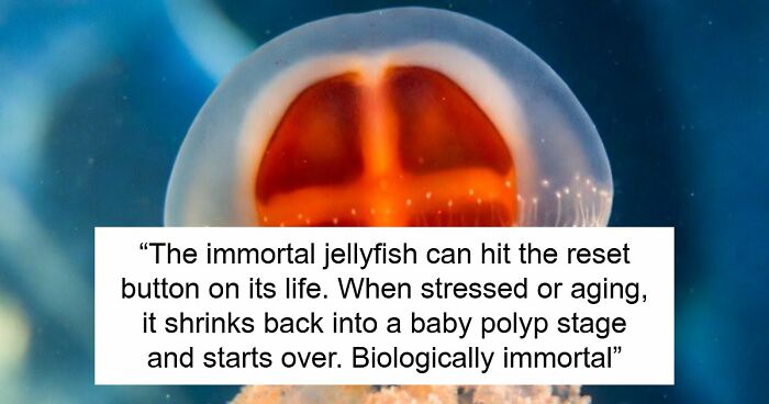 44 Fun And Interesting Facts That Might Delight Animal Lovers