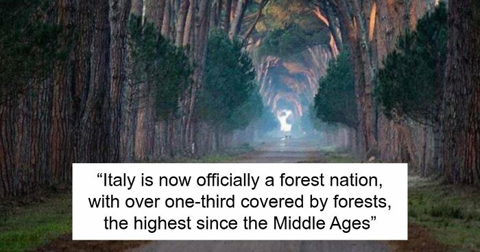 44 Fun And Interesting Facts That Might Delight Animal Lovers