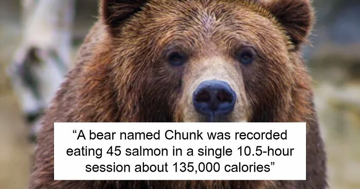 44 Fun And Interesting Facts That Might Delight Animal Lovers