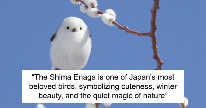 44 Fun And Interesting Facts That Might Delight Animal Lovers