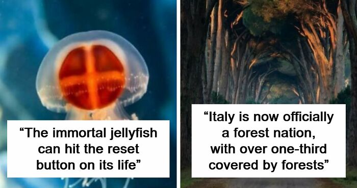 44 Fun And Interesting Facts That Might Delight Animal Lovers