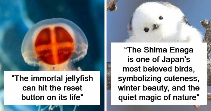 44 Fun And Interesting Facts That Might Delight Animal Lovers