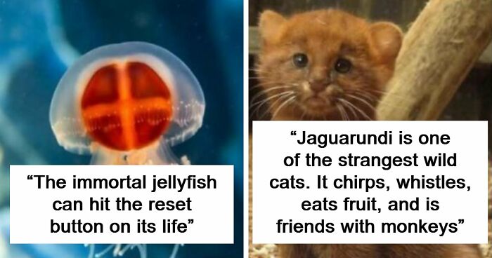 44 Fun And Interesting Facts That Might Delight Animal Lovers