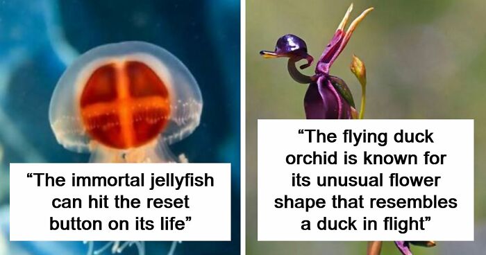 44 Fun And Interesting Facts That Might Delight Animal Lovers